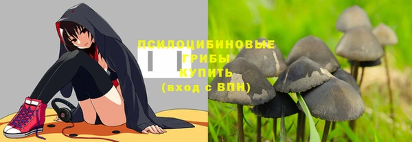 крисы Билибино
