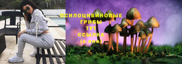 мет Бикин